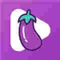 草莓榴莲向日葵秋葵香蕉免费视频app