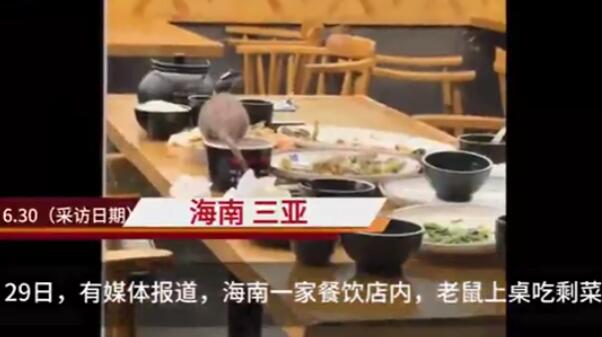 三亚一餐馆老鼠爬上桌 店面停业 背后真相实在让人惊愕