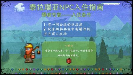 泰拉瑞亚肉山前npc有哪些4.jpg